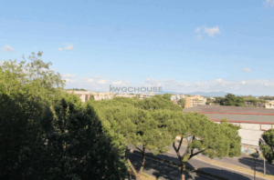 vista1