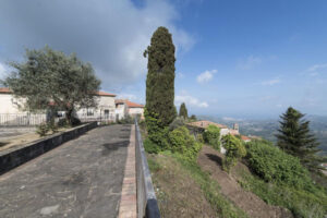 24) Viale