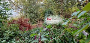 18 GIARDINO