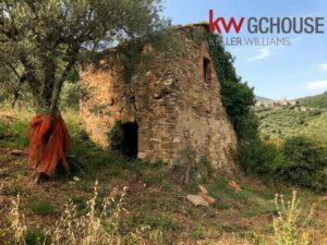 RUDERE(1)
