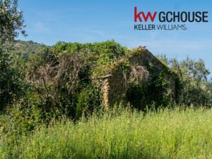 RUDERE(3)