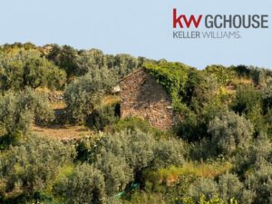 RUDERE(4)